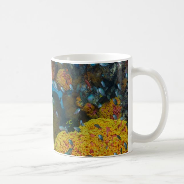 Taza De Café Pez Entre Arrecife De Coral (Derecha)
