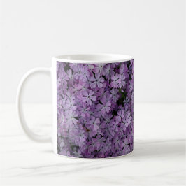 Taza De Café Phlox en Abundancia