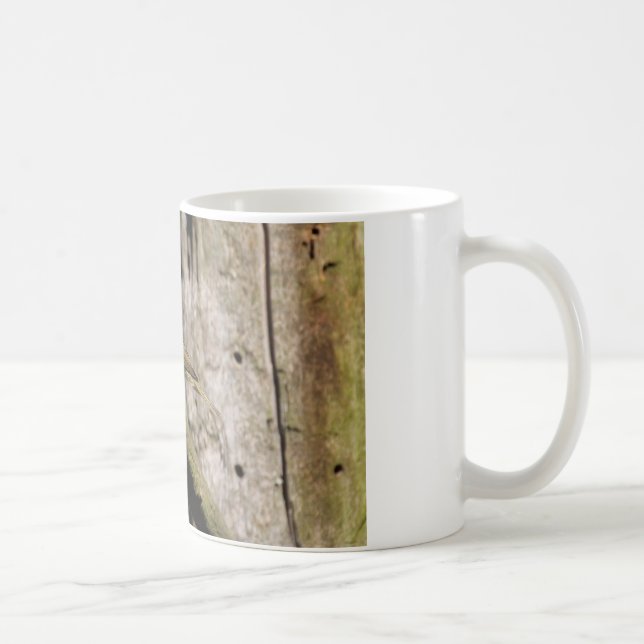 Taza De Café Phylloscopus collybita (Derecha)