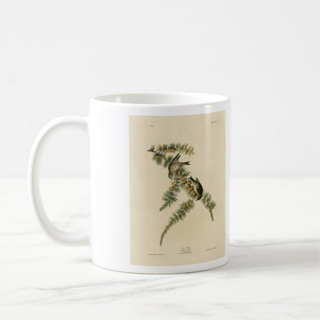 Taza De Café Pine Finch (Pine Siskin), Aves Audubon de América (Izquierda)