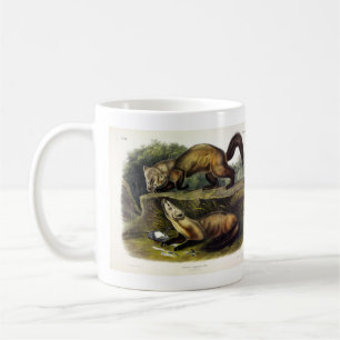 Taza De Café Pine Marten (Mustela Martes) Norteamericano