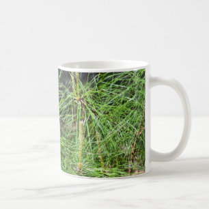 Taza De Café Pine Needles por Kenneth Yoncich
