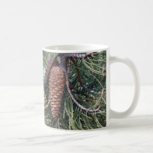 Taza De Café Pinecona en el pino