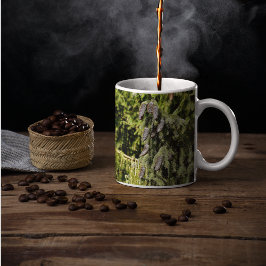 Taza De Café Pinecones