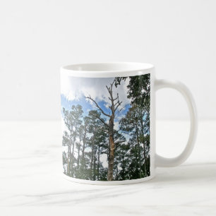 Taza De Café Pines en Beach Nature Trail OBX NC