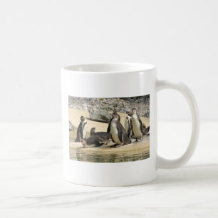 Taza De Café Pingüinos de Humboldt