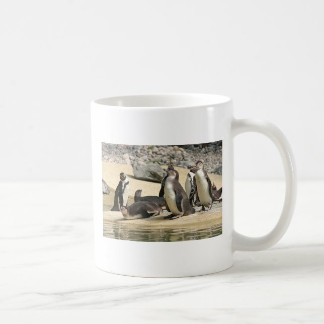 Taza De Café Pingüinos de Humboldt (Derecha)