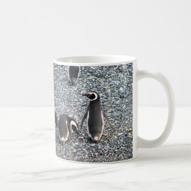 Taza De Café Pingüinos de Magellanic, canal del beagle, (Derecha)