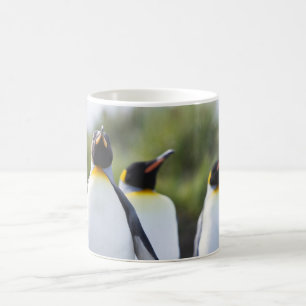 Taza De Café Pingüinos de rey