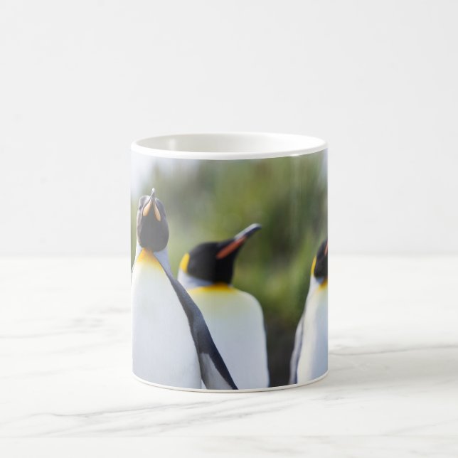 Taza De Café Pingüinos de rey (Centro)