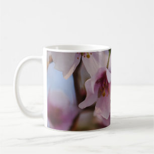 Taza De Café Pink Cherry Blossom