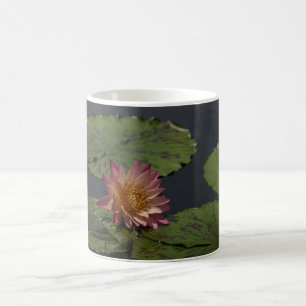 Taza De Café Pink Waterlily