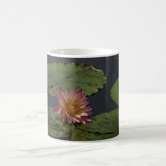Taza De Café Pink Waterlily (Centro)