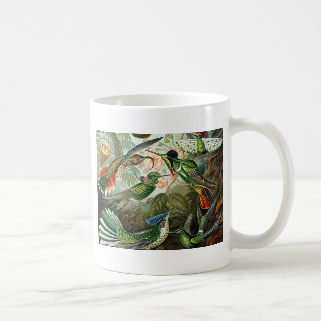 Taza De Café pintura clásica de la fauna silvestre de comingbir (Derecha)