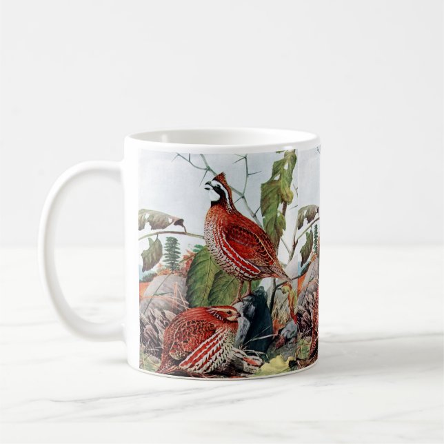 Taza De Café Pintura de pájaro de codorniz blanco inmaculado (Izquierda)