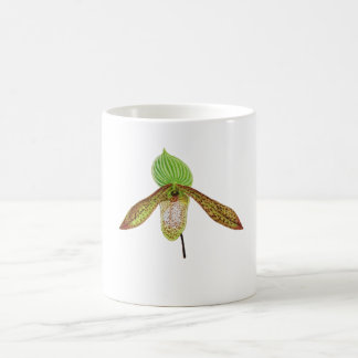 Taza De Café Pintura en acuarela botánica de orquídea Paphioped