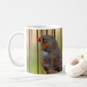 Taza De Café Pinzón Cebado Pájaro en Jaula