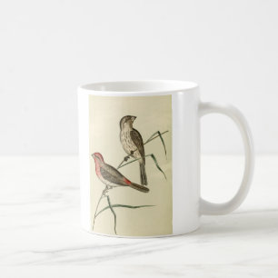 Taza De Café Pinzón de casa americano
