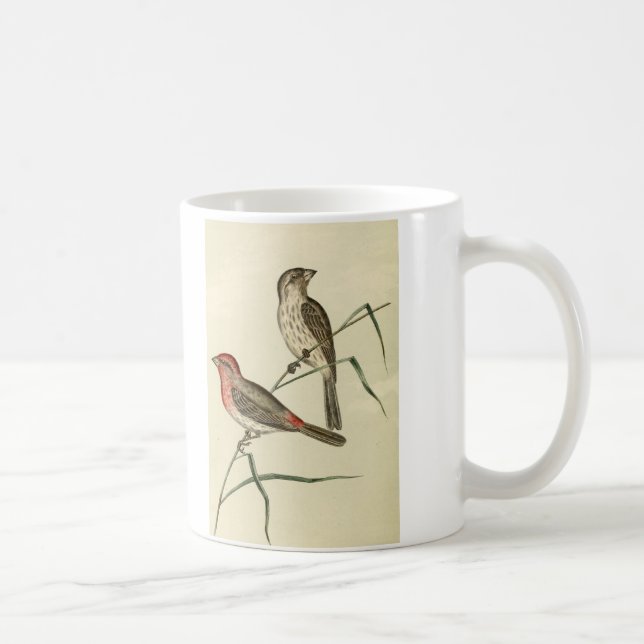 Taza De Café Pinzón de casa americano (Derecha)
