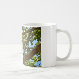 Taza De Café Pinzón vulgar