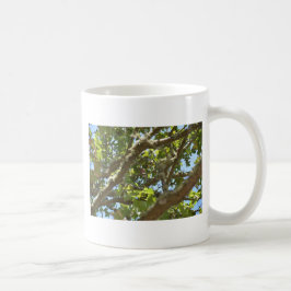 Taza De Café Pinzón vulgar