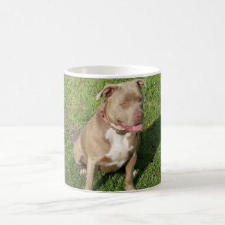 Taza De Café Pitbull pacífico