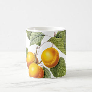 Taza De Café PixDezines Orchard/ Melocotones /Redoute
