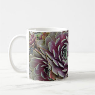 Taza De Café Planta de cactus de gallinas y pollitos