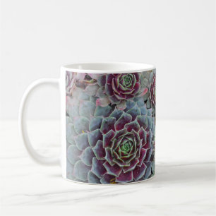 Taza De Café Planta de cactus de gallinas y pollitos
