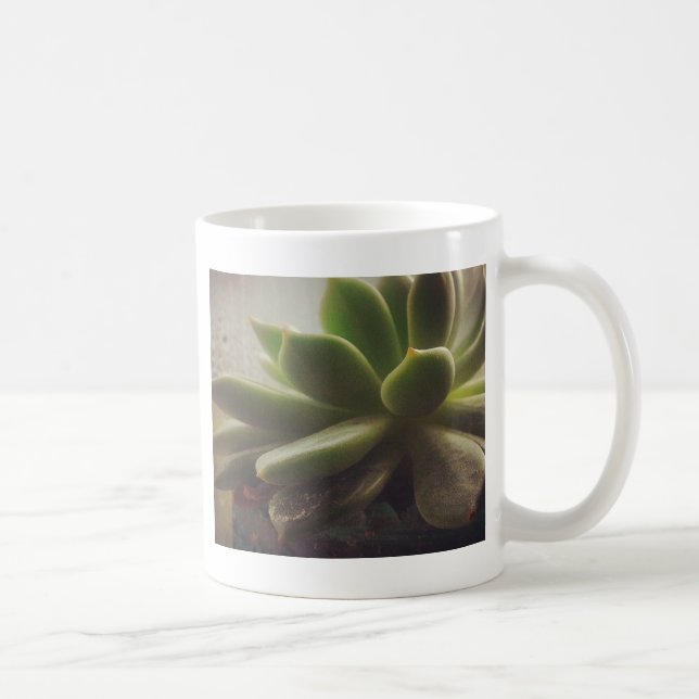 Taza De Café Planta de Hen y Chicks (Derecha)