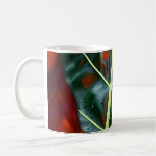 Taza De Café Planta de hoja verde