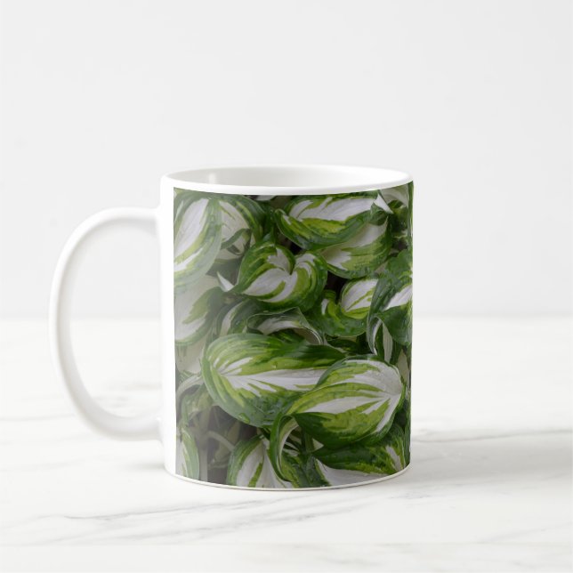 Taza De Café Planta de hosta a rayas (Izquierda)