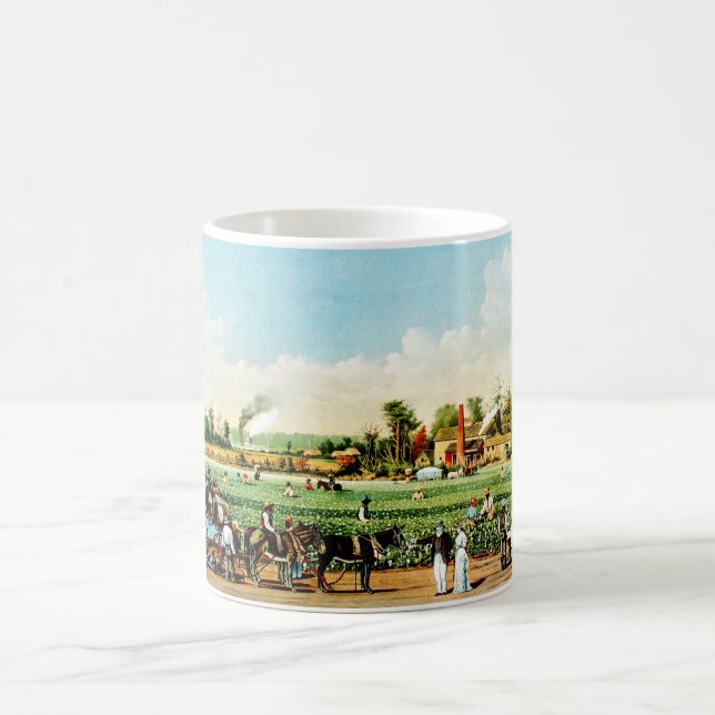 Taza De Café Plantación de algodón en Misisipi, EE.UU. (Centro)