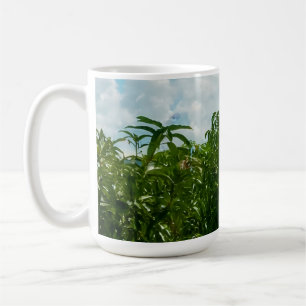 Taza De Café Plantación de Mango Dambulla Sri Lanka Reloj de Pa