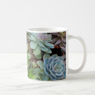 Taza De Café Plantas de gallinas y pollitos