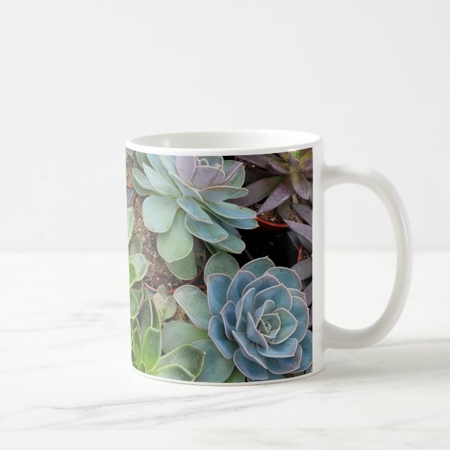 Taza De Café Plantas de gallinas y pollitos (Derecha)
