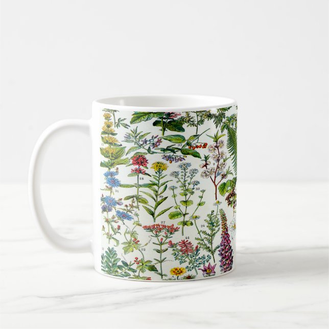 Taza De Café Plantas medicinales (Izquierda)