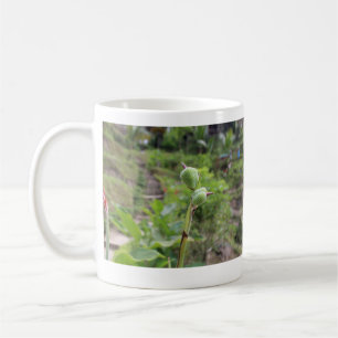 Taza De Café Plantas naturales fotografía nombre de viaje en ag