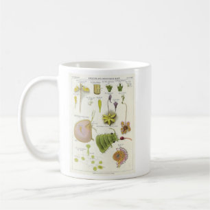 Taza De Café Plantas parásitas y carnívoras
