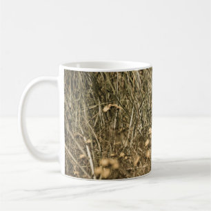 Taza De Café plantas secas irregulares en una playa cubierta de