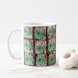 Taza De Café Plantas Suculentas Exóticas
