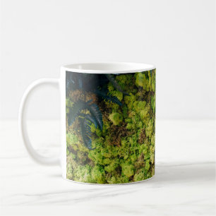 Taza De Café Plantas verdes arboladas