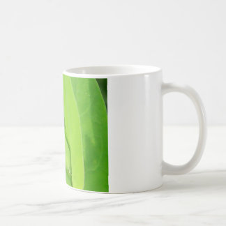 Taza De Café plantbudo de Guay