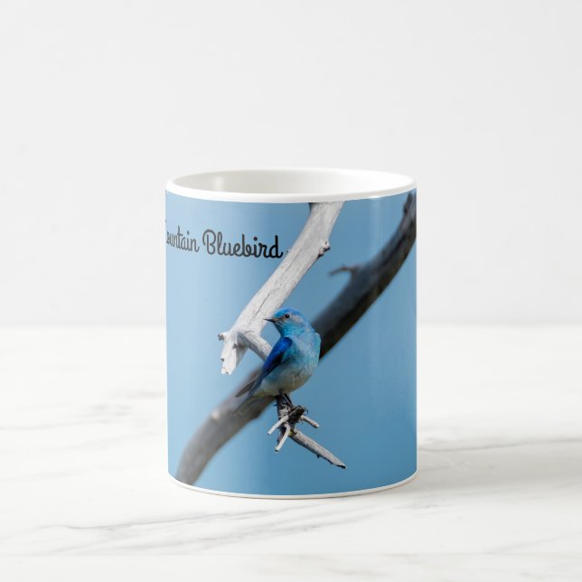 Taza De Café Pleorae (Centro)