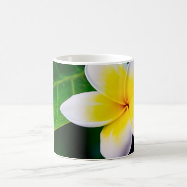 Taza De Café plumeria (Centro)