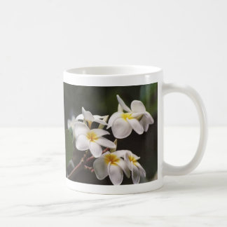 Taza De Café plumeria
