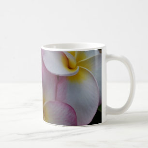 Taza De Café Plumeria hawaiano