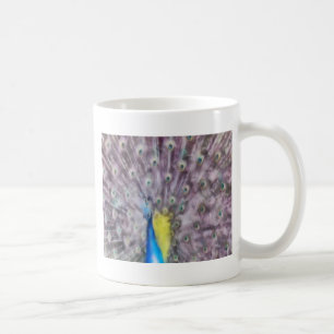 Taza De Café Plumín de acoplamiento de pavo real fino