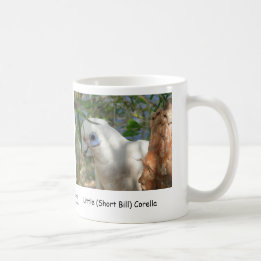 Taza De Café Poco (Bill corto) Corella