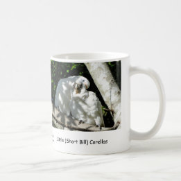 Taza De Café Poco (Bill corto) Corellas